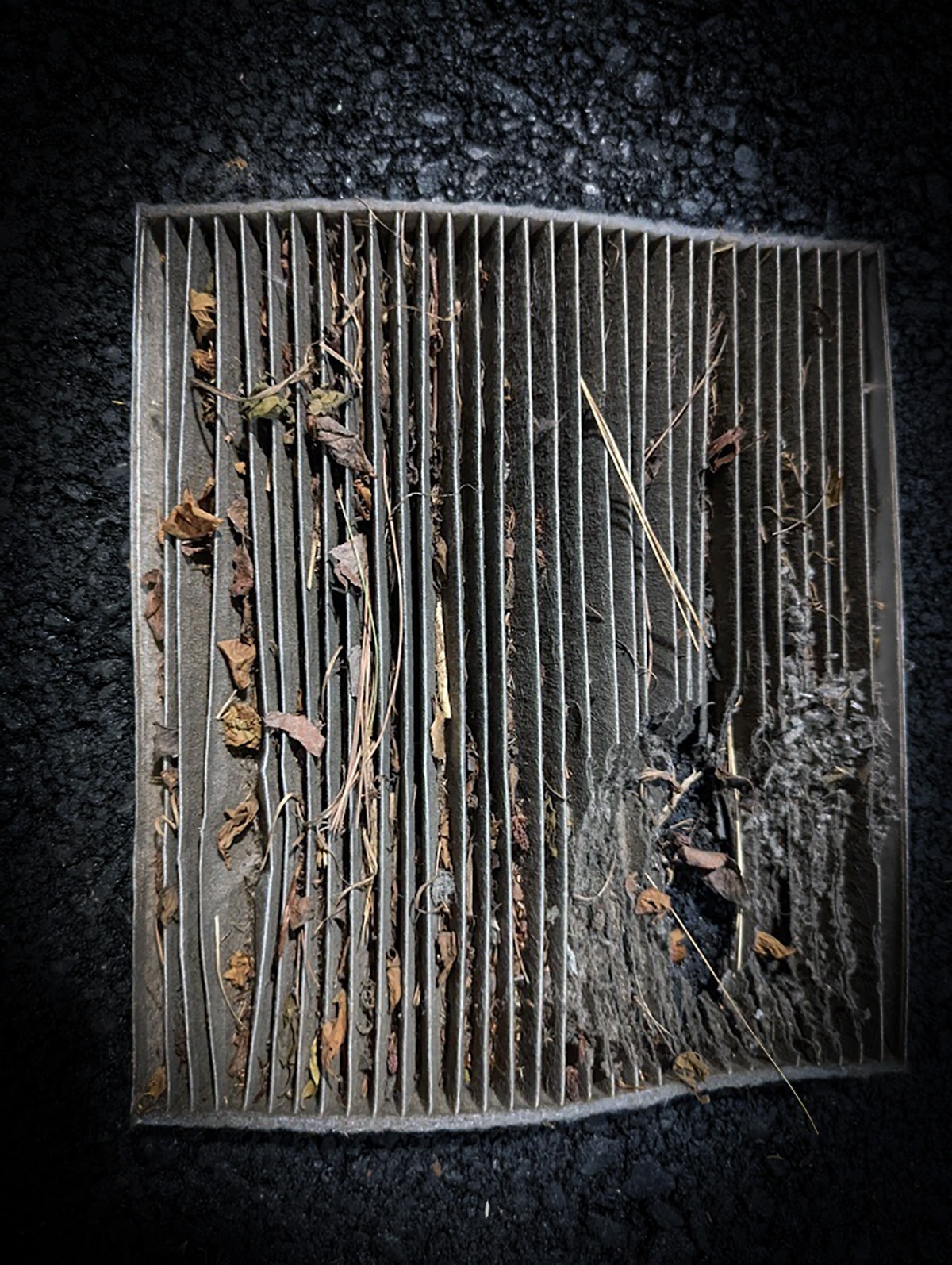 dirty car cabin filter