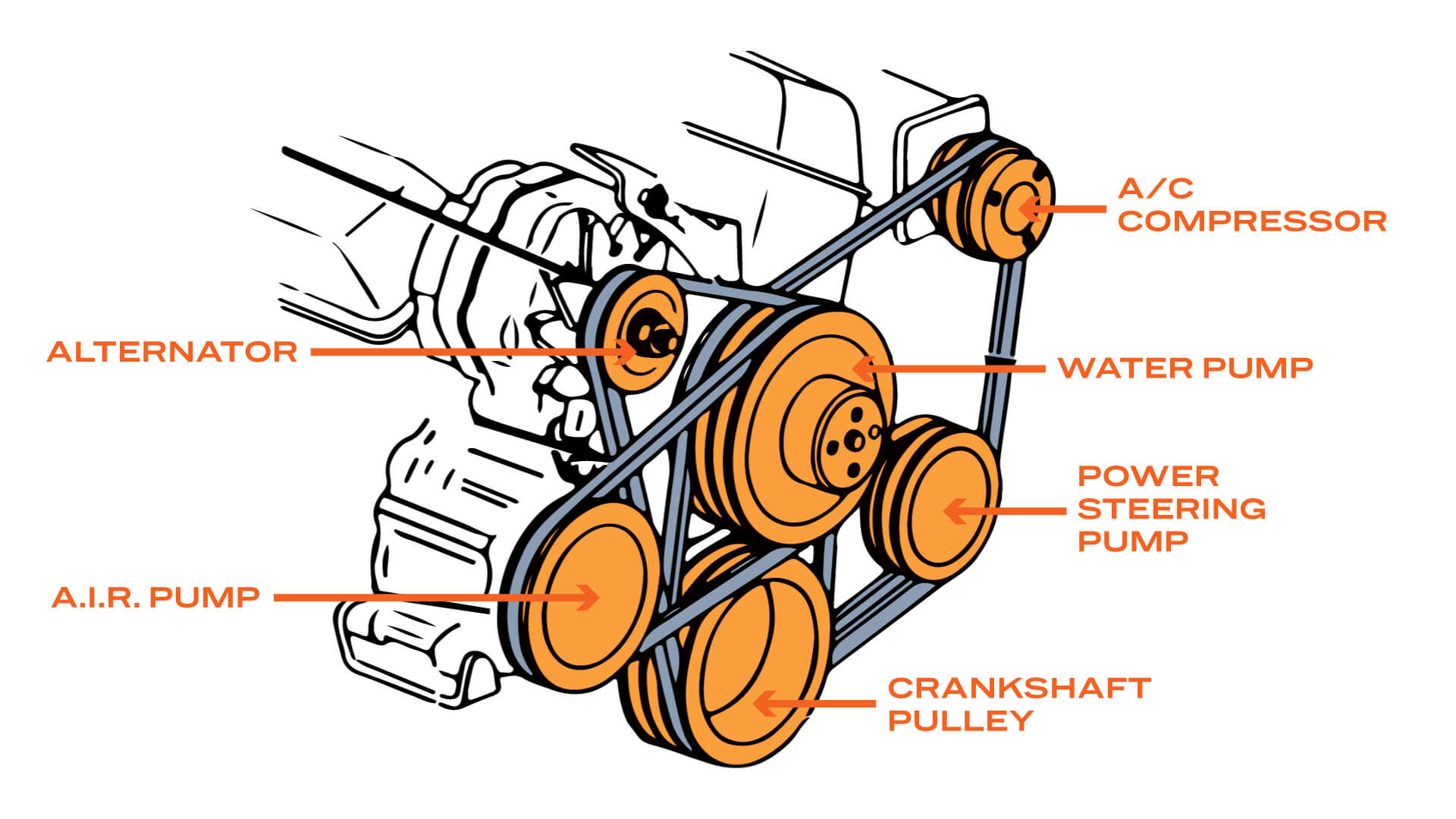 What Is A Ribbed Belt In A Car