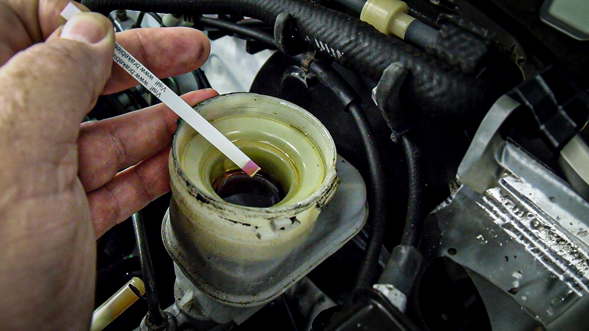 The most important fluid in the car and how to test it. - Shop Press